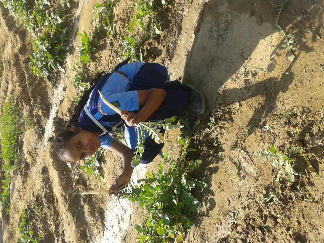 Swasch Bharat( MAKE THE LAND USEFUL)