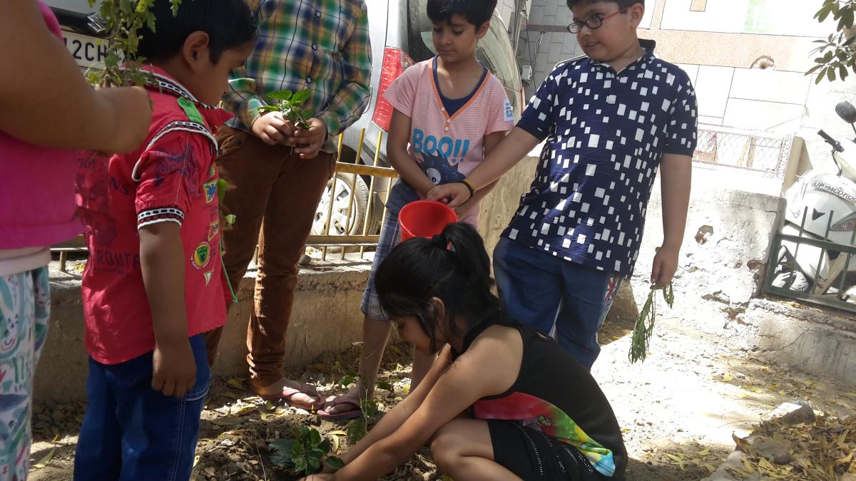 Plantation  on occasion of forest day