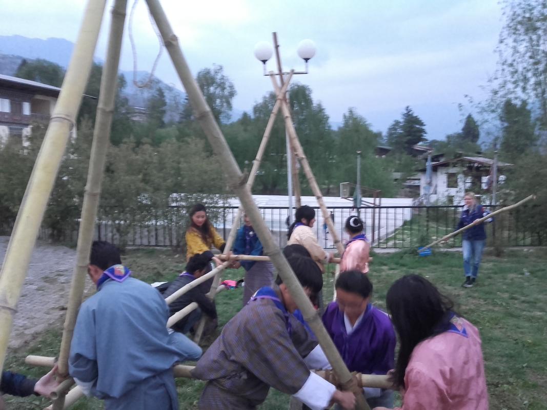 Scout Night