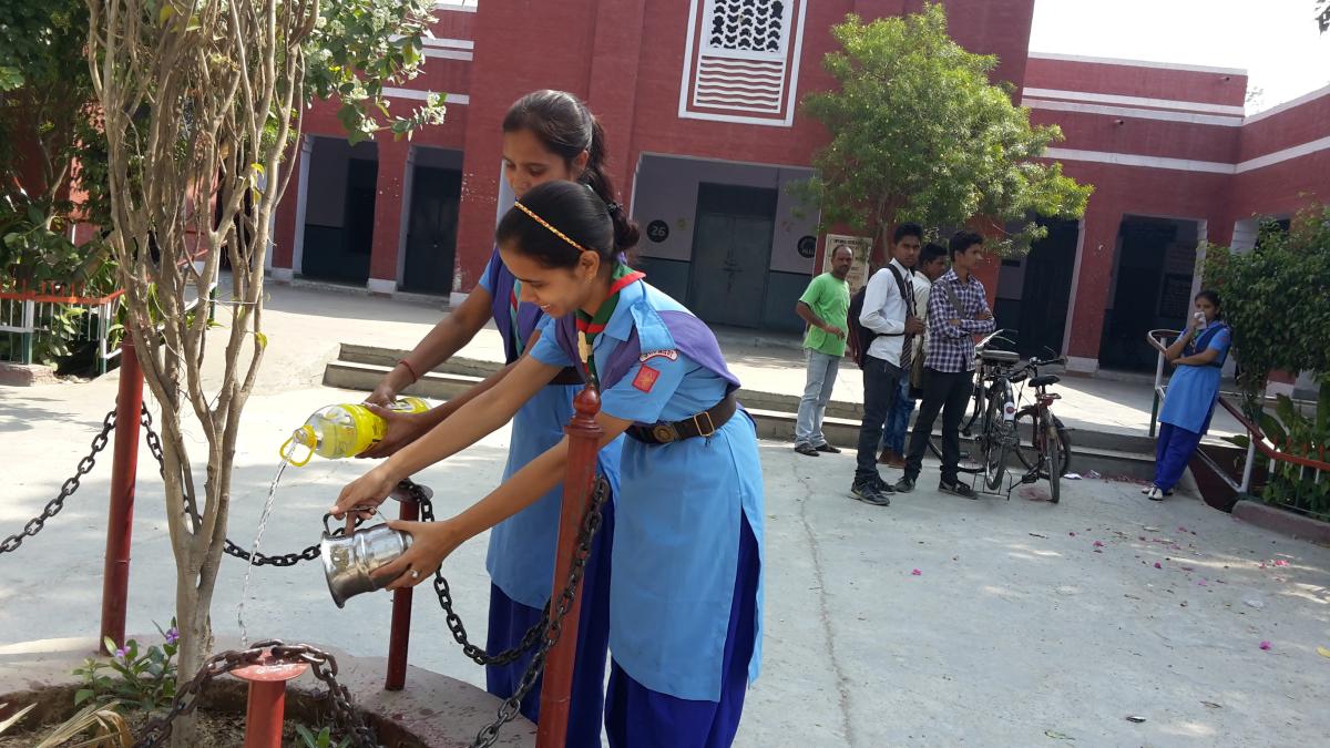 Save plant 