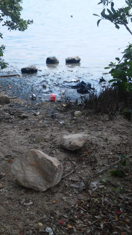 -Basura +Playa