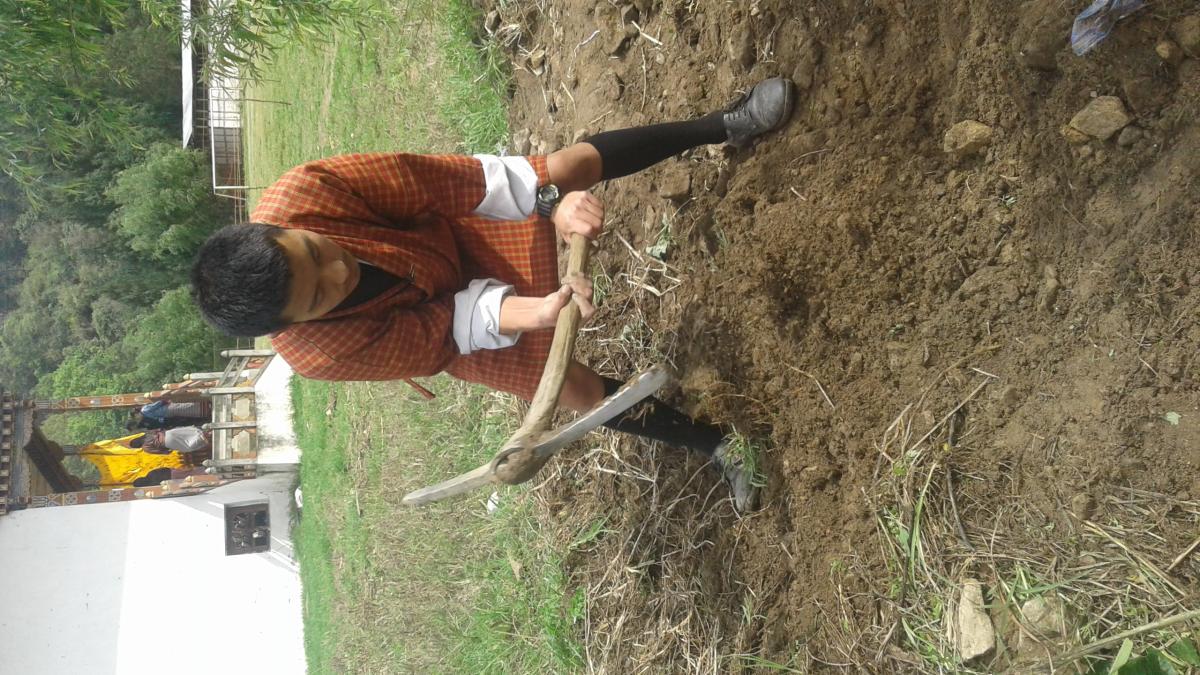 Volunteer