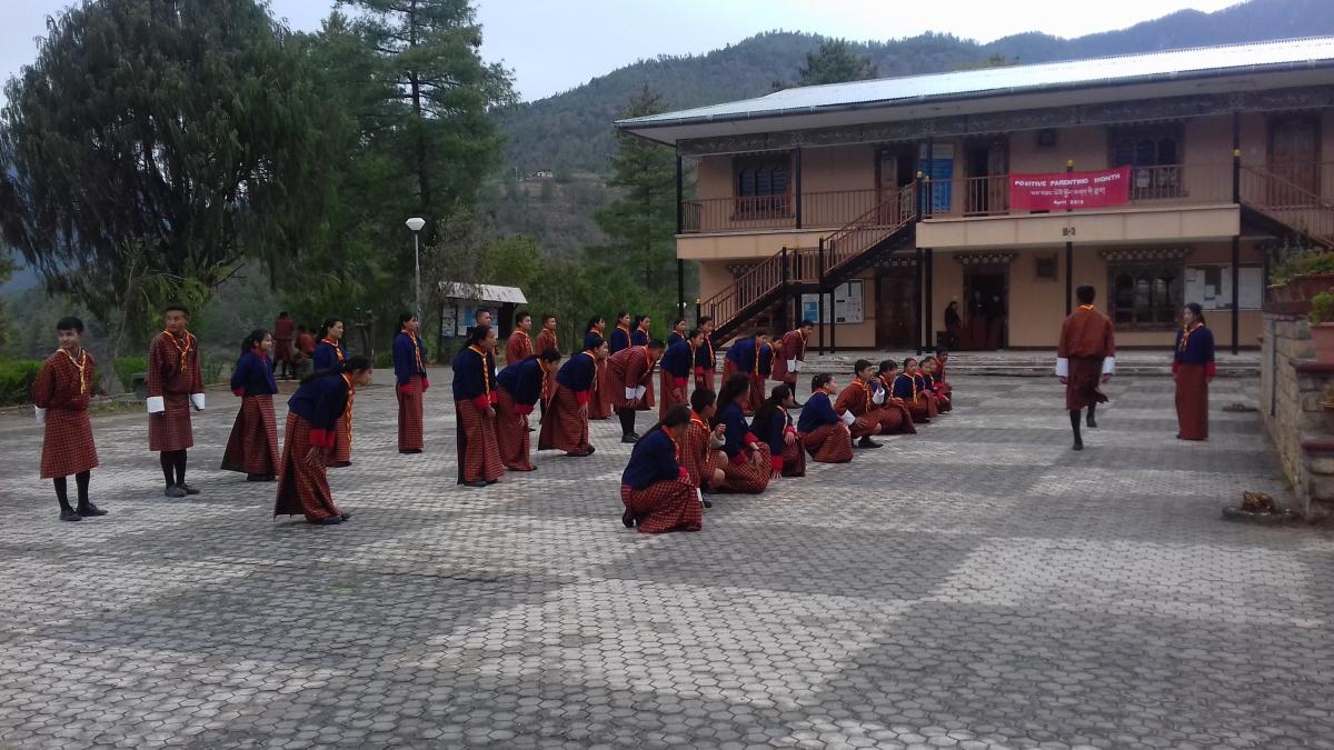 A fruitful day with Scouts