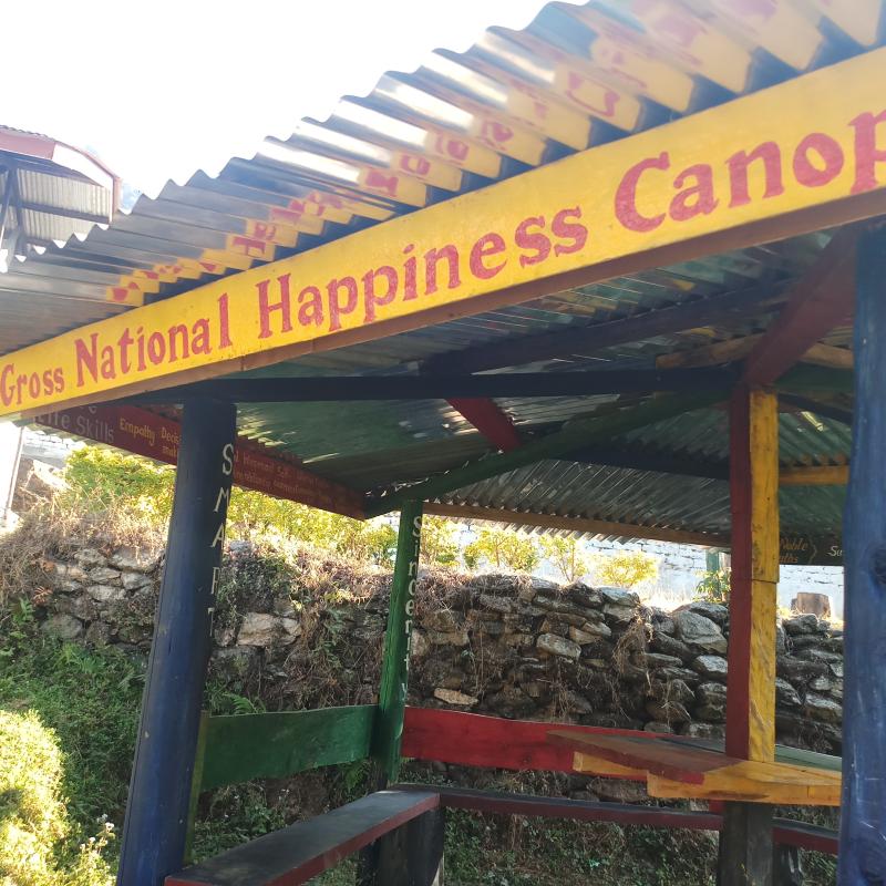 Constructions of Canopy 