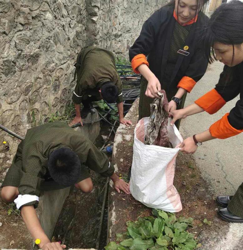 Cleaning Campaign