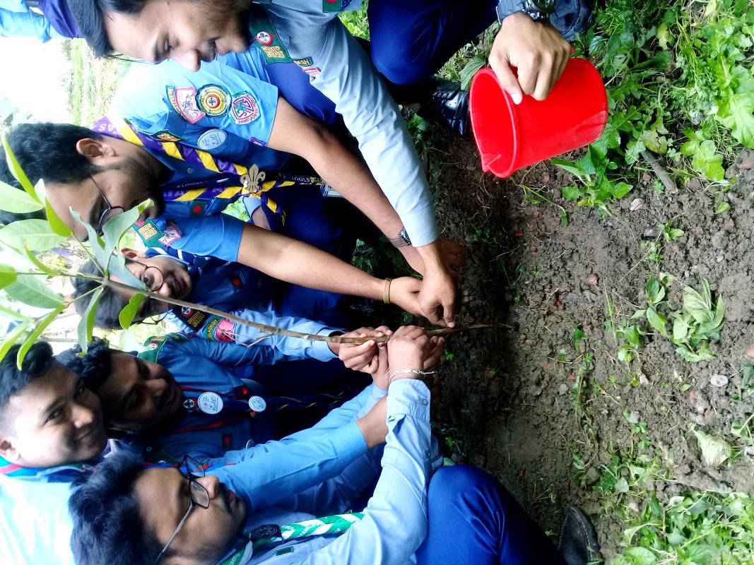 বৃক্ষ রোপন অভিযান