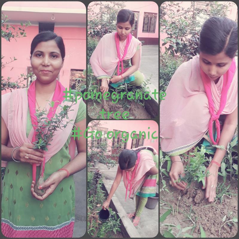 SANKALP B.Environment &Sustainability.#Goorganic