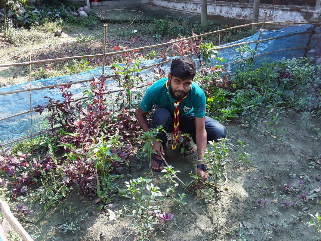 খাদ্য সংকট কমাতে নিজ বাড়ির আঙিনায় সবজির বাগান 