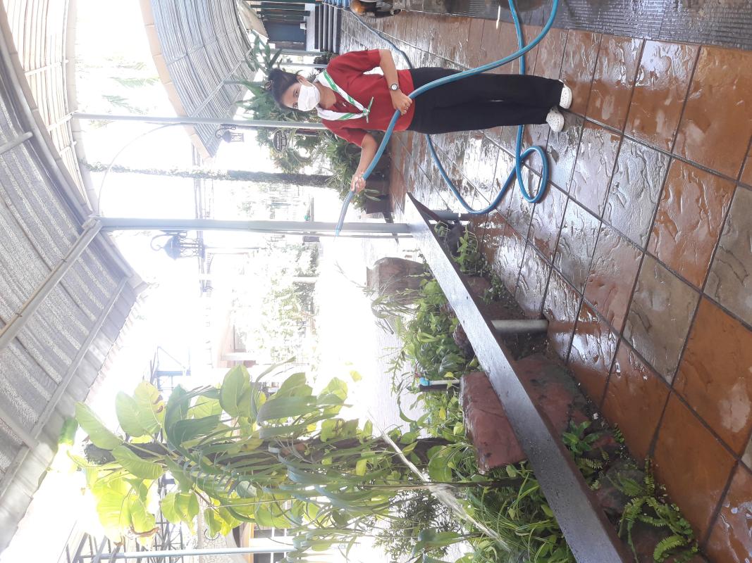 บำเพ็ญประโยชน์รดน้ำต้นไม้