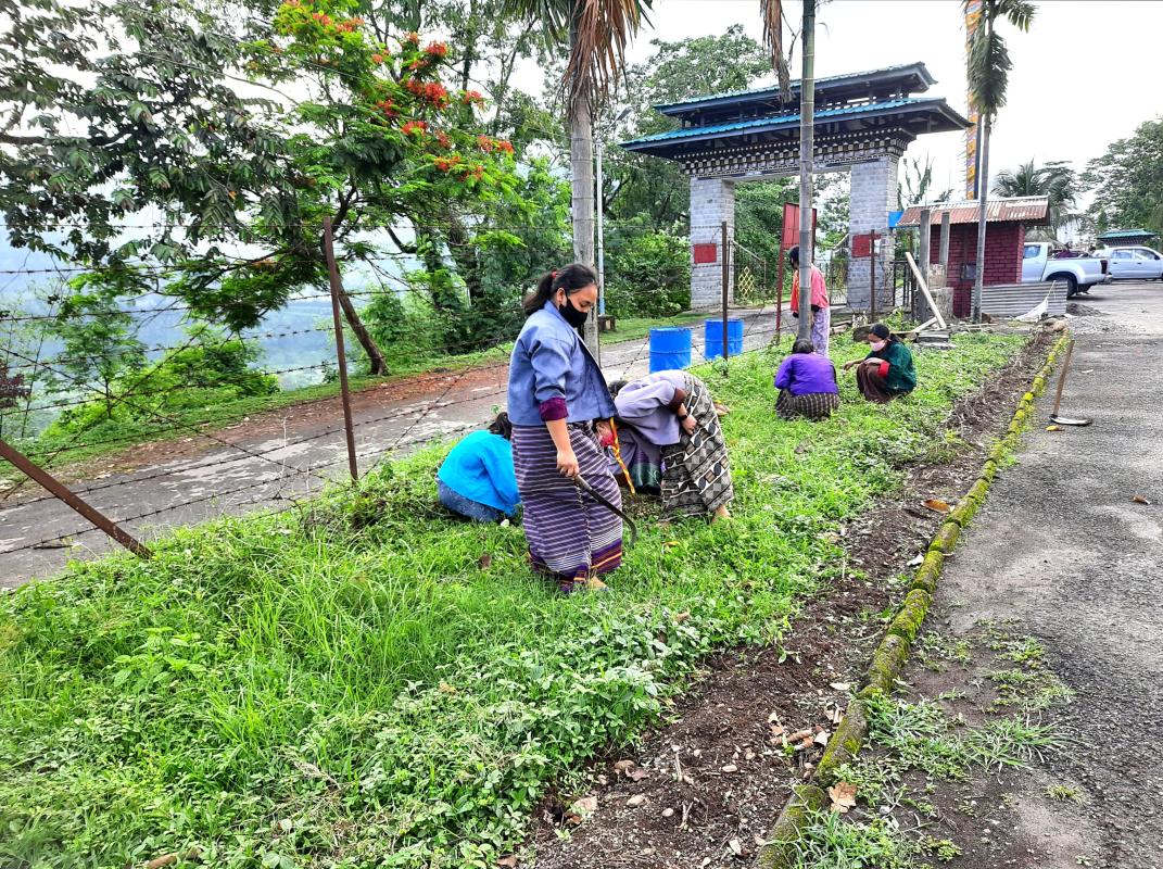 Social forestry day 