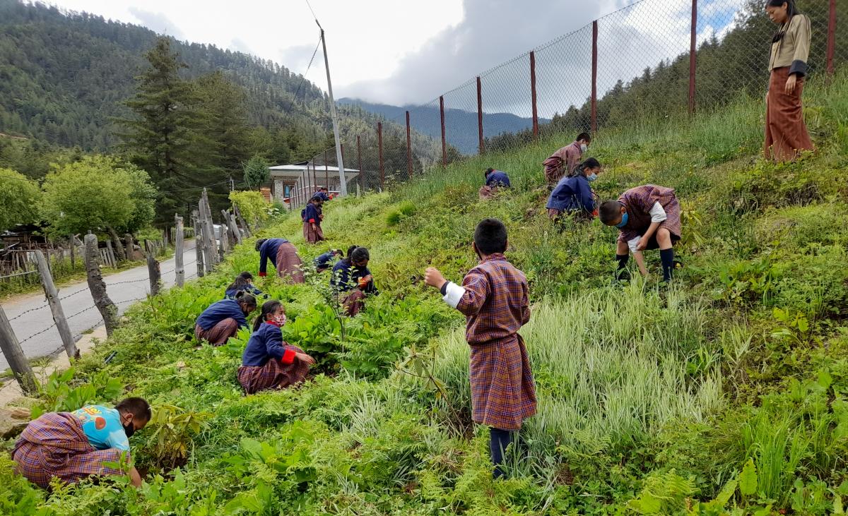 Community Forest 