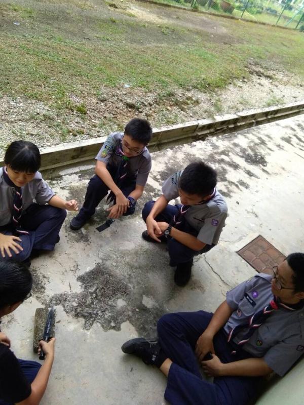 170701 Scout Activity