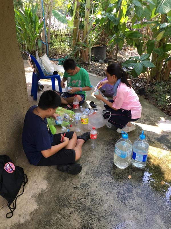 PROJECT T เพาะต้นกล้าโกงกาง