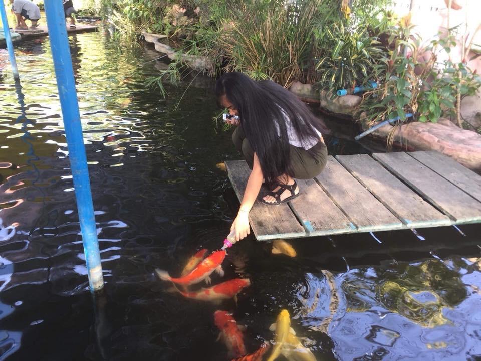 ไห้อาหารปลาวัดไร่ขิง