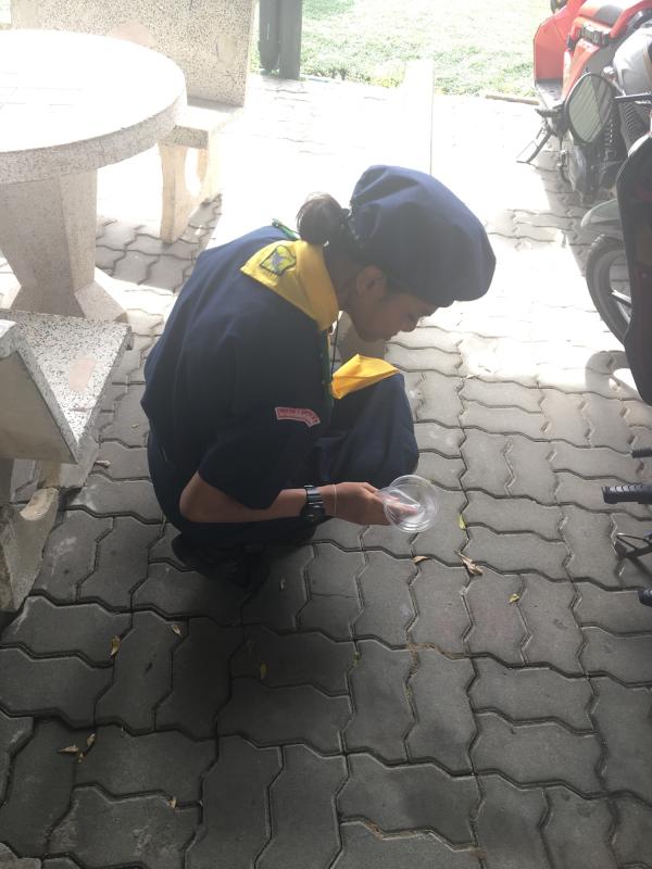 เก็บขยะ