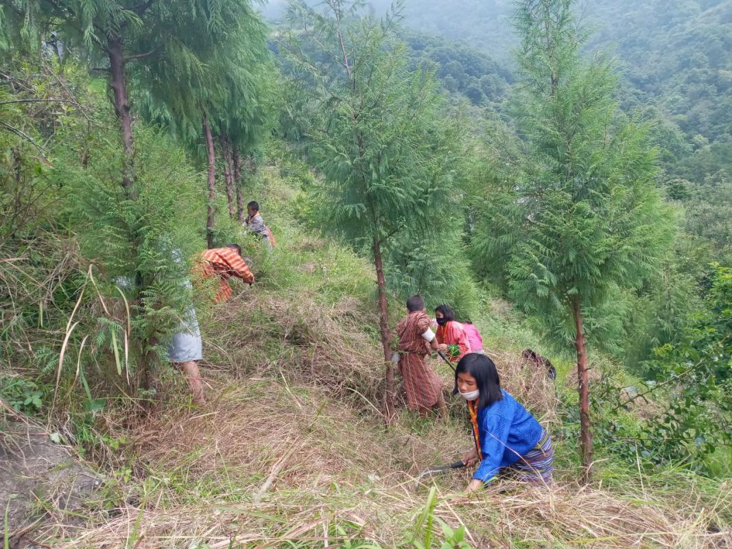 World Environment Day