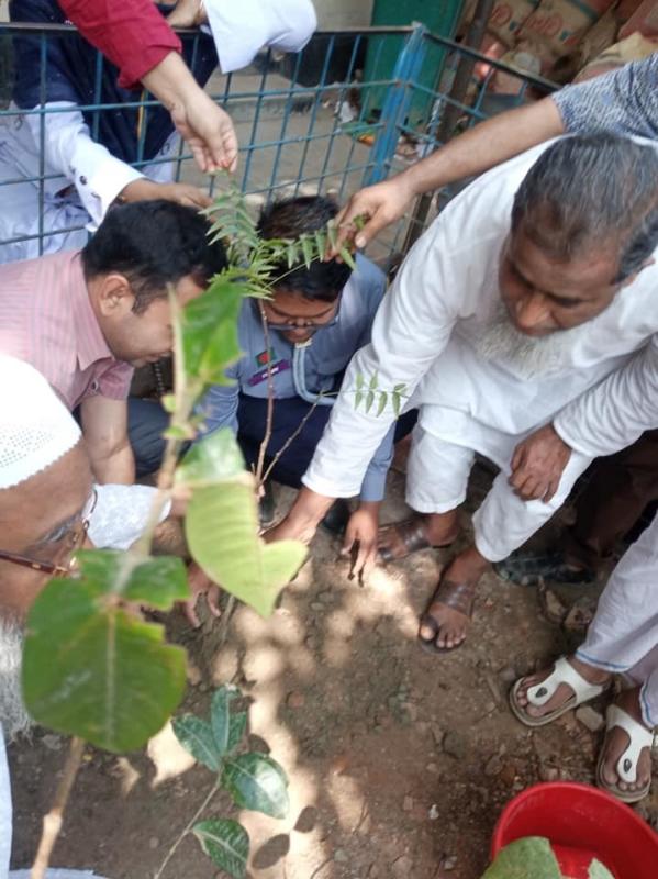 মুজিব শতবর্ষ ২০২০ উপলক্ষে বৃক্ষ রোপন  কর্মসূচি 