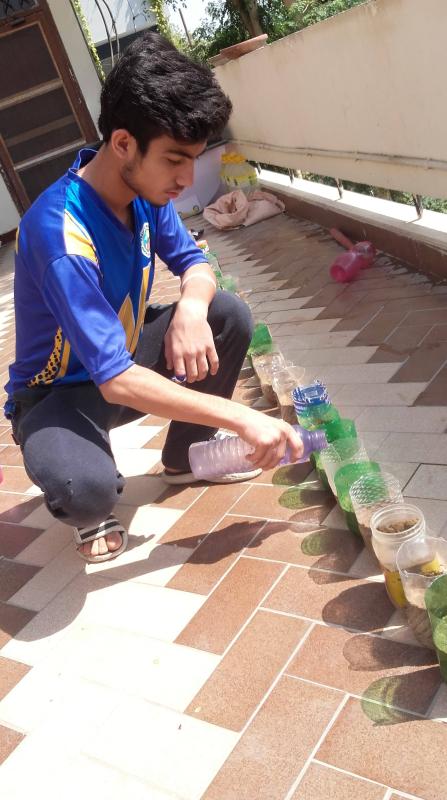Plastic Plantation 