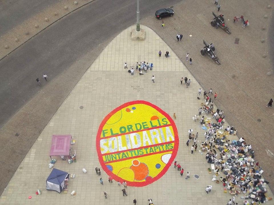Flor de Lis Solidaria 2013