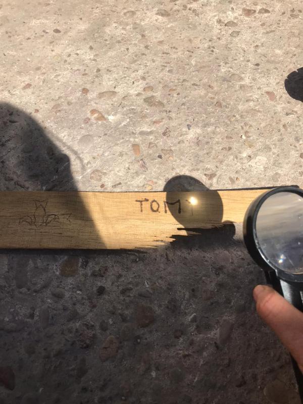 Go Solar - Alma Luna Reyes