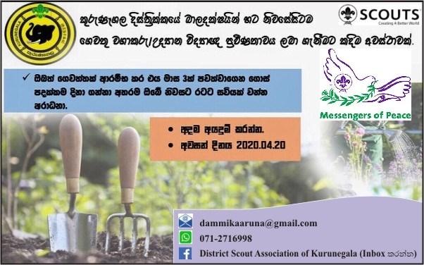 grow my home garden