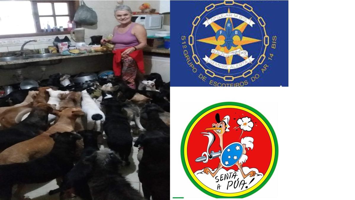 Projeto Senta a Pua com Animaila