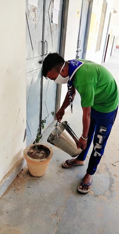 सार्वजनिक स्थानों पर लगे पेड़ पौधों में पानी डालना