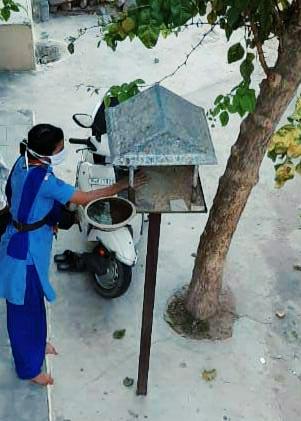 Bird and Animal Service