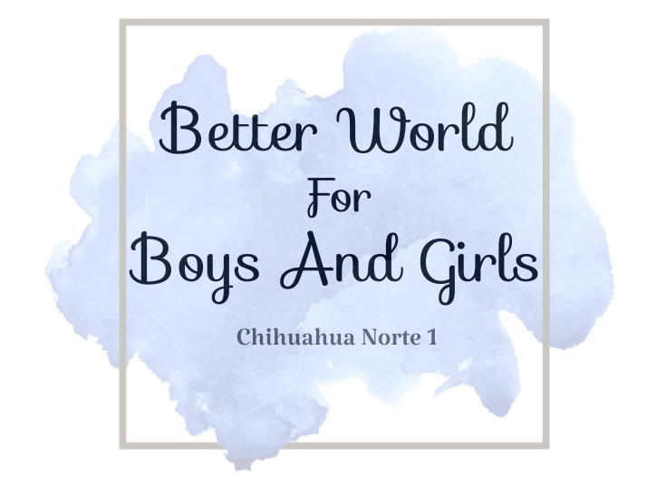 Better World For Boys And Girls (Chihuahua Norte) 