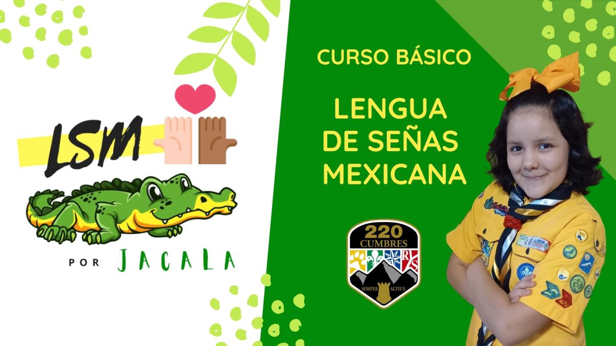 LSM POR JACALA