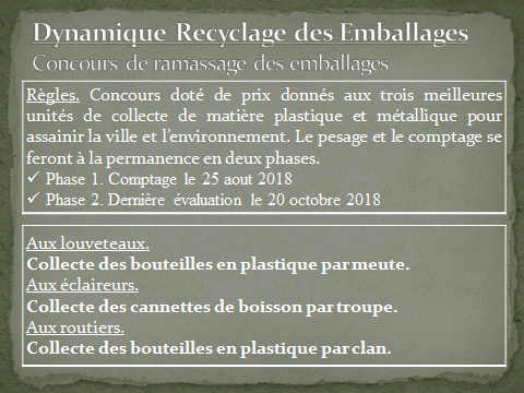 Ramassage & Recyclage 1