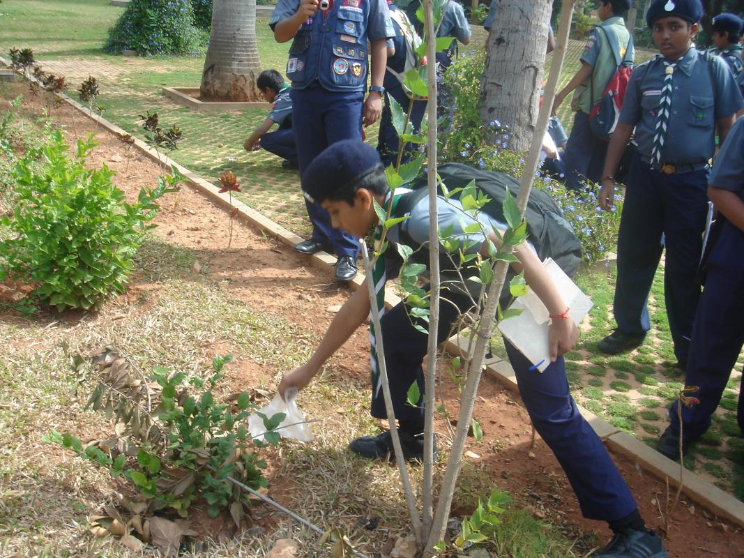 NATURE STUDY HIKE ......... CONSERVE THE ENVIRONMENT..........MESSENGER OF PEACE