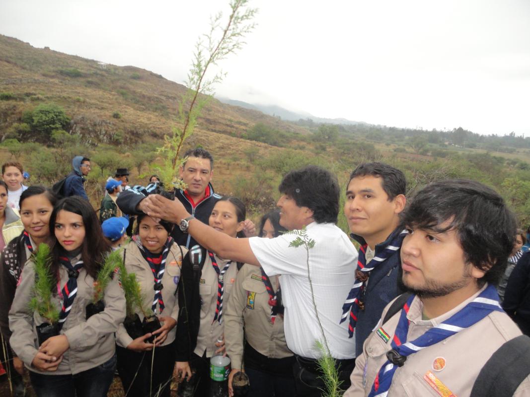 Mi Árbol