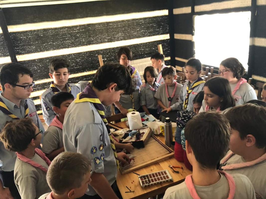 "WOBBLE BOTS VINEGAR BATTERY STATIC ELECTRIC LAB" CHALLENGE