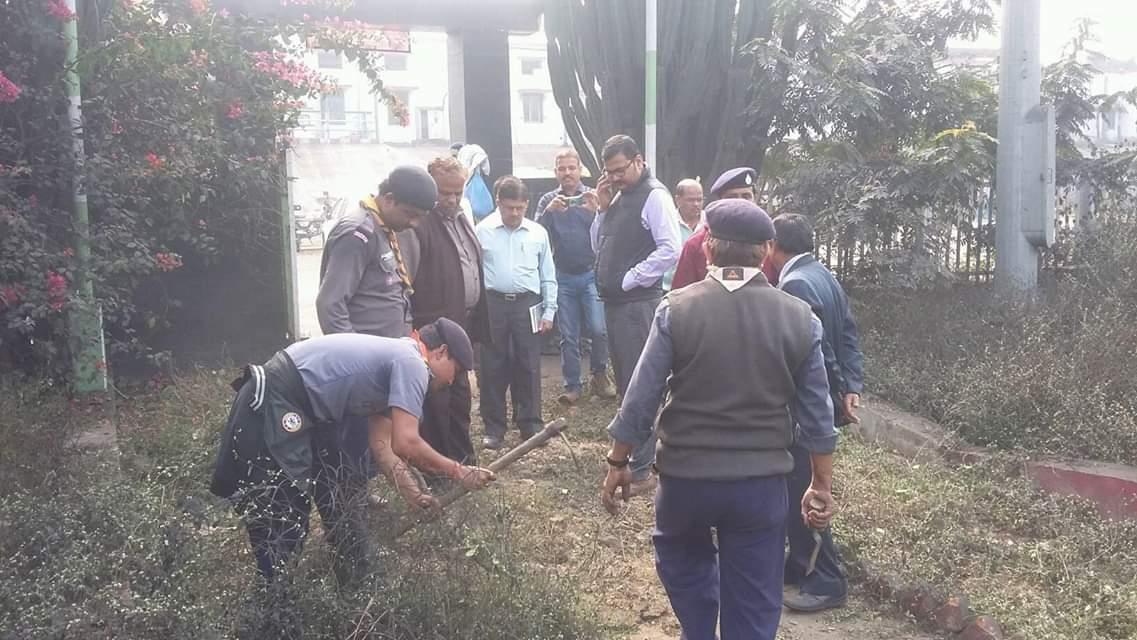 CLEAN PARK GREEN PARK