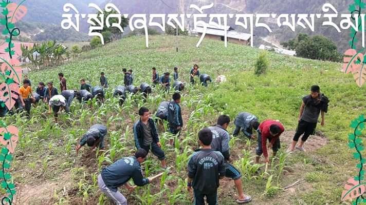 Community work