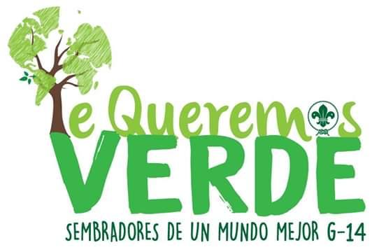 REFORESTACION,PLAYATON,PLOGGING Y EL AMOR AL MEDIO AMBIENTE