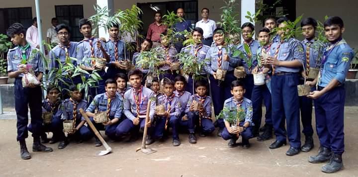 Tree Plantation 