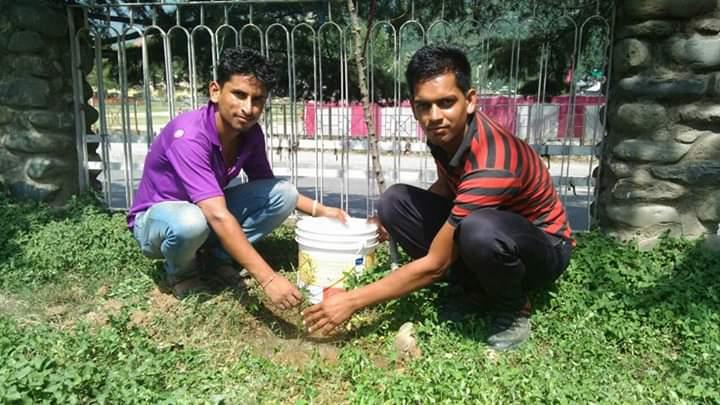 पौधा रोपण 