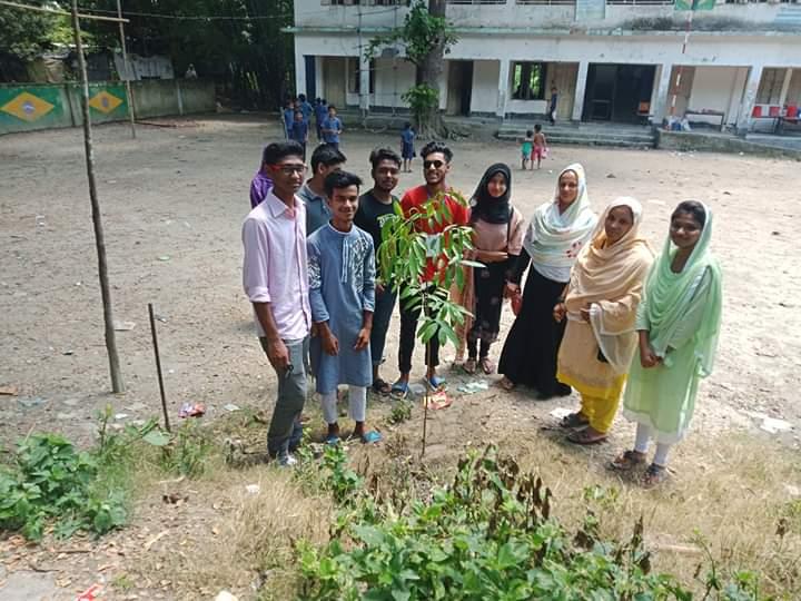 Tree Plantation 