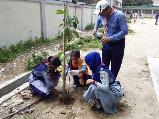 বৃক্ষরোপণ কর্মসূচি