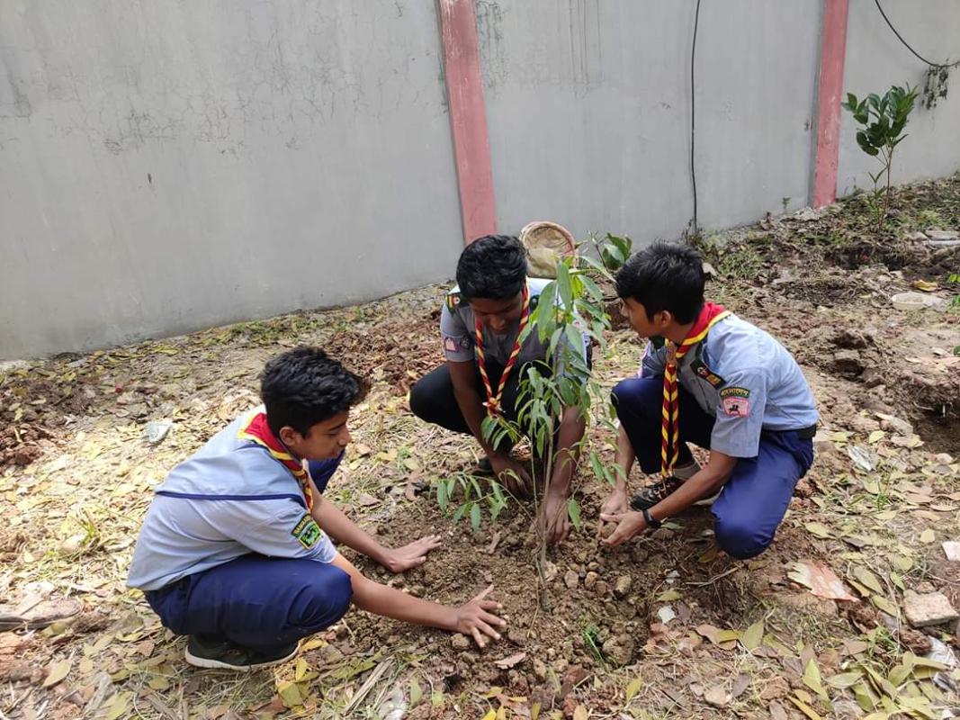 Sebabratee Tree plantation Event