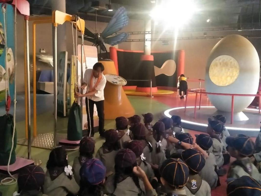 การทดลองการใช้กำลัง