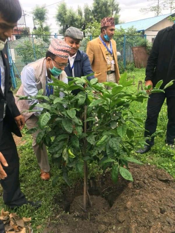 बिश्व बाताबरण दिबस को उपलक्ष्यमा अन्तरास्ट्रिय सम्मेलन केन्द्र बानेश्वर मा बोटबिरुवा हरु रोप्दै !!