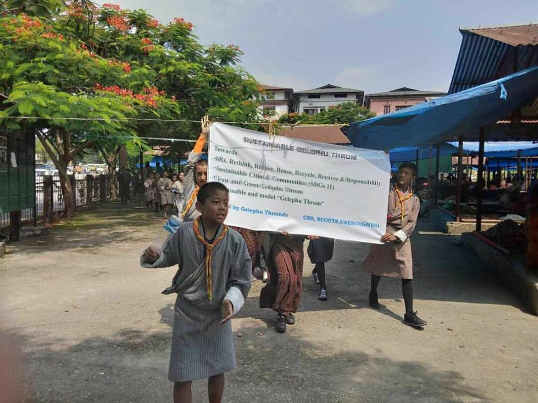 scout cleaning campaign