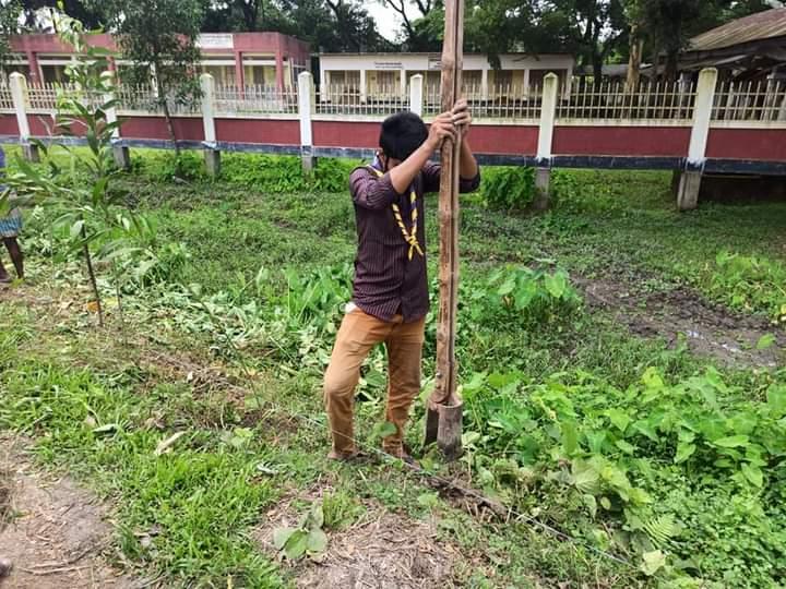 বৃক্ষরোপণ কর্মসূচি ২০২০