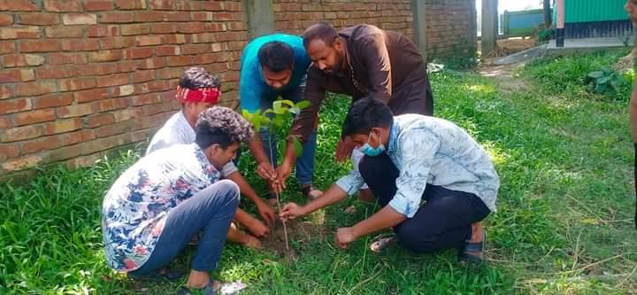 বৃক্ষ রোপণ