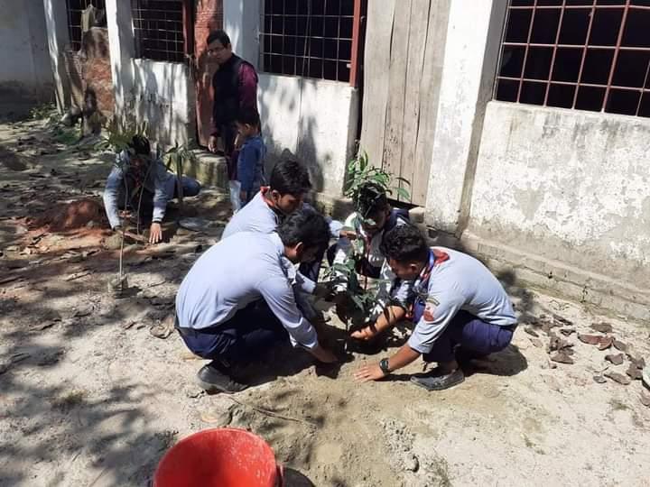 মুজিব বর্ষ উপলক্ষে বৃক্ষরোপণ কর্মসূচি ২০২০ আর আই আই টি আর এস জি।