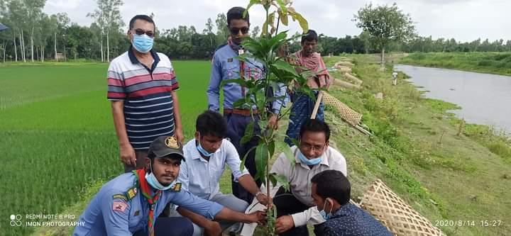 Tree Plantation Program