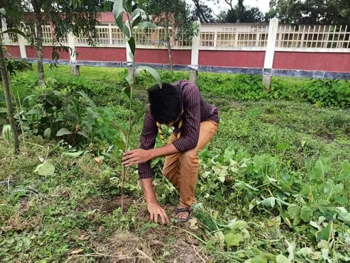 বৃক্ষরোপণ কর্মসূচী